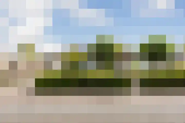 Willem-Alexanderpark 25 Best thumbnail 32