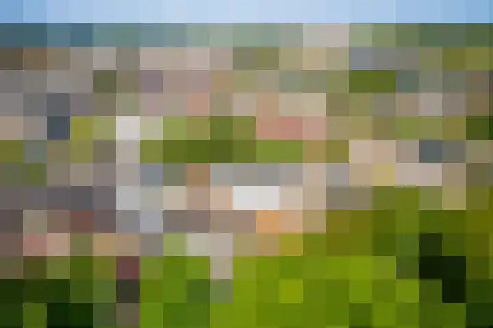 Willem-Alexanderpark 26 Noordwijk thumbnail 64