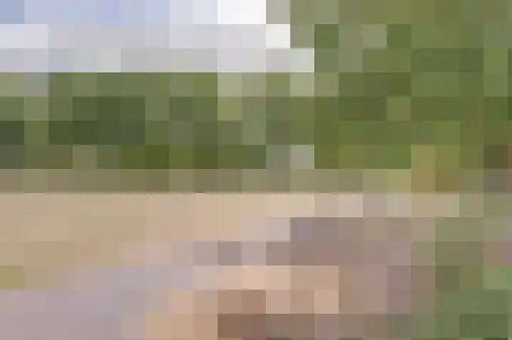 Willem-Alexanderpark 27 Best thumbnail 34