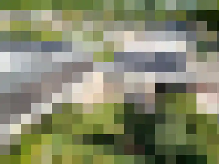 Willem-Alexanderpark 27 Best thumbnail 36