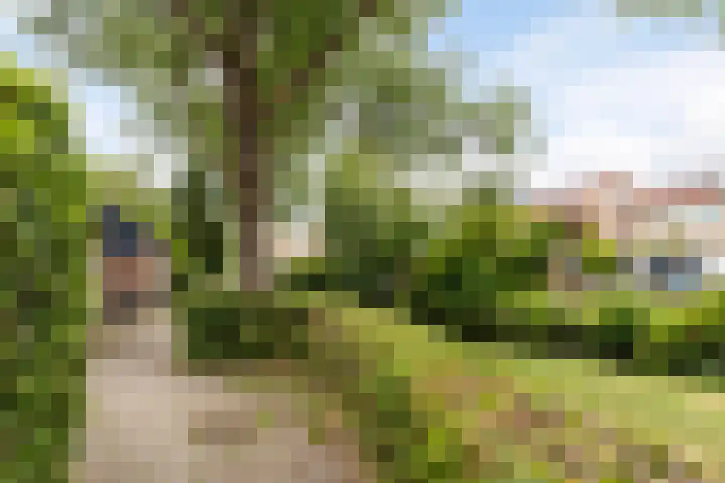 Willem-Alexanderplaats 110 Hellevoetsluis thumbnail 31