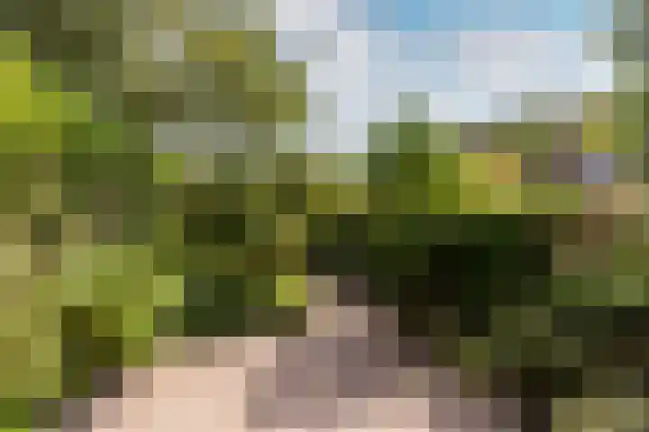 Willem-Alexanderplantsoen 128 Barendrecht thumbnail 27