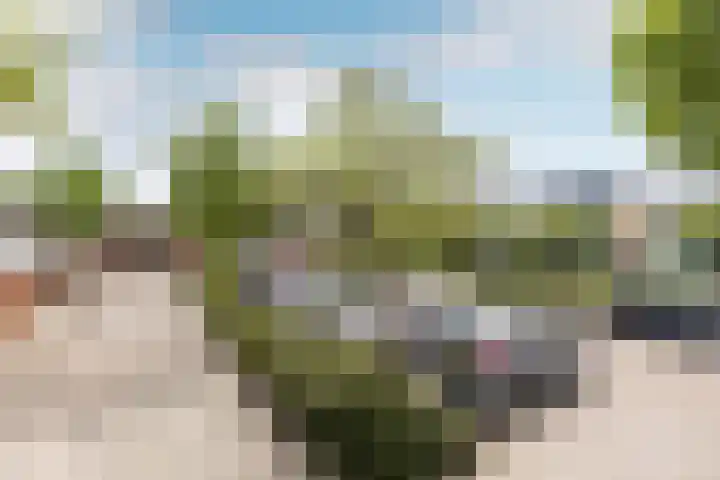 Willem-Alexanderplantsoen 128 Barendrecht thumbnail 28