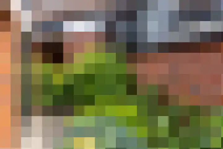 Willem-Alexanderplantsoen 128 Barendrecht thumbnail 7
