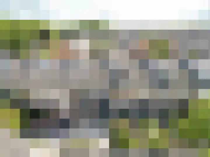 Willem Alexanderplantsoen 15 Rijnsburg thumbnail 34