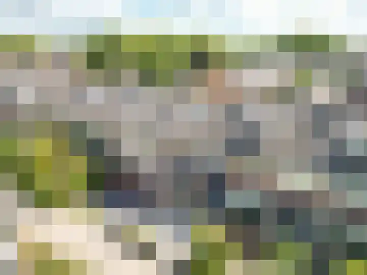 Willem Alexanderplantsoen 15 Rijnsburg thumbnail 35