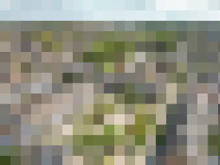 Willem Alexanderplantsoen 15 Rijnsburg thumbnail 36