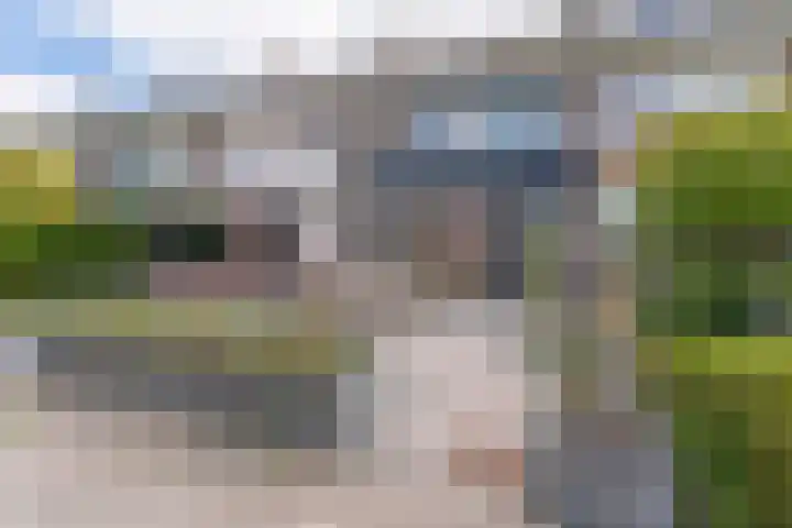 Willem Alexanderplantsoen 15 Rijnsburg thumbnail 41