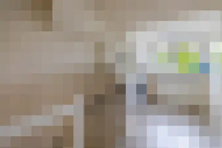 Willem-Alexanderplantsoen 2 Moerkapelle thumbnail 22