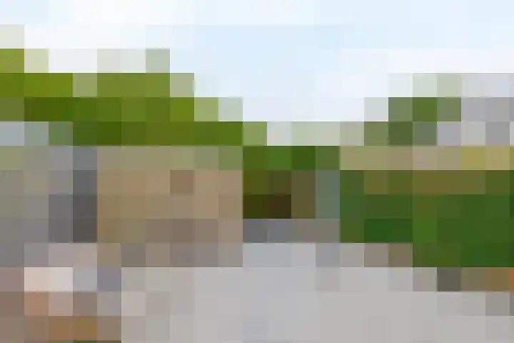 Willem-Alexanderplantsoen 2 Moerkapelle thumbnail 28