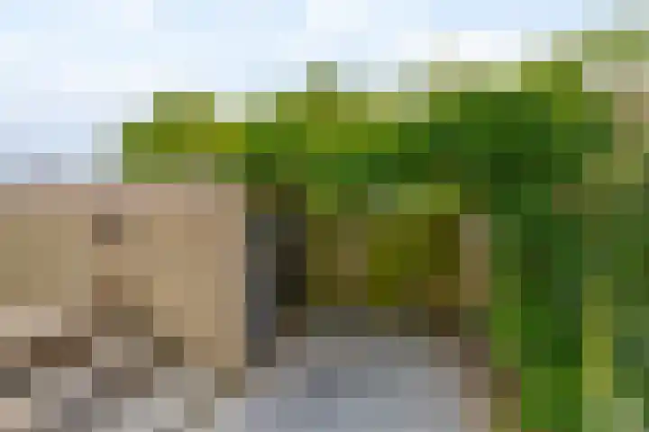 Willem-Alexanderplantsoen 2 Moerkapelle thumbnail 29