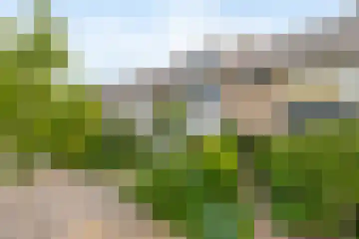 Willem-Alexanderplantsoen 2 Moerkapelle thumbnail 30