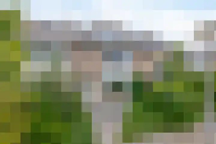 Willem-Alexanderplantsoen 2 Moerkapelle thumbnail 31