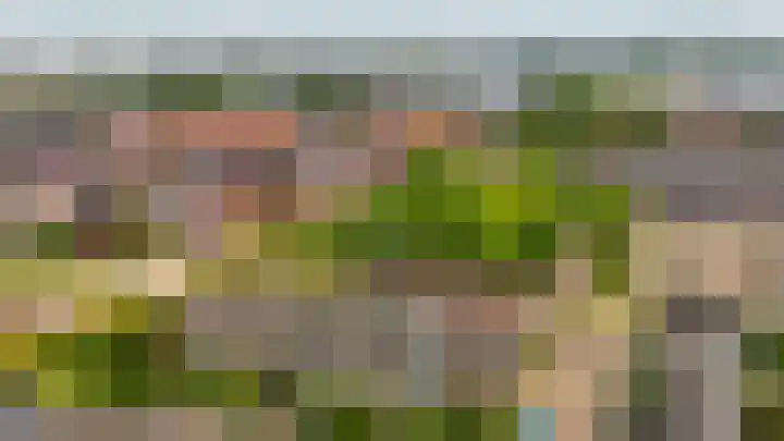 Willem-Alexanderplantsoen 2 Moerkapelle thumbnail 33