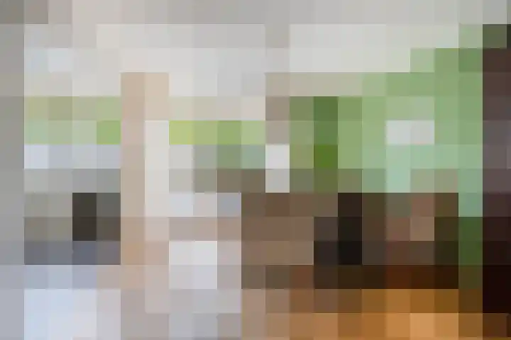 Willem-Alexanderplantsoen 2 Moerkapelle thumbnail 9