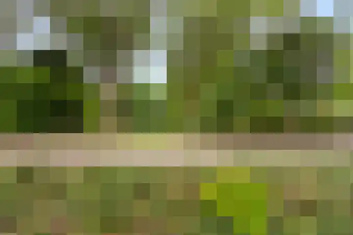 Willem-Alexanderplantsoen 29 Barendrecht thumbnail 41