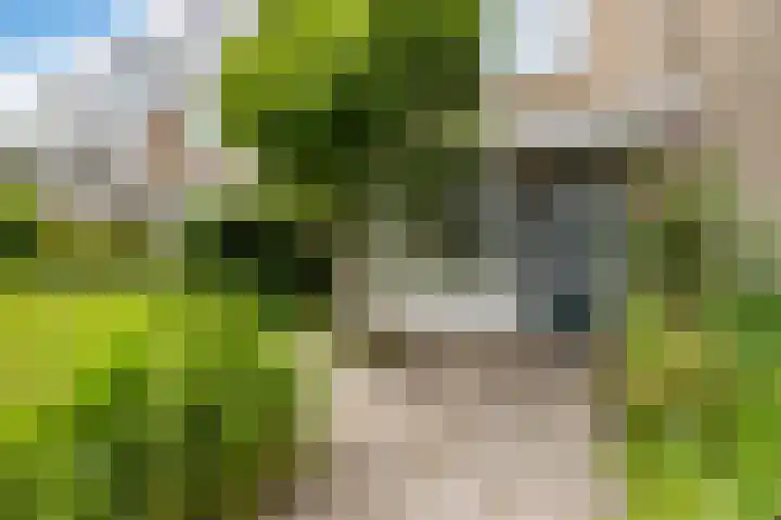 Willem-Alexanderplantsoen 29 Barendrecht thumbnail 7