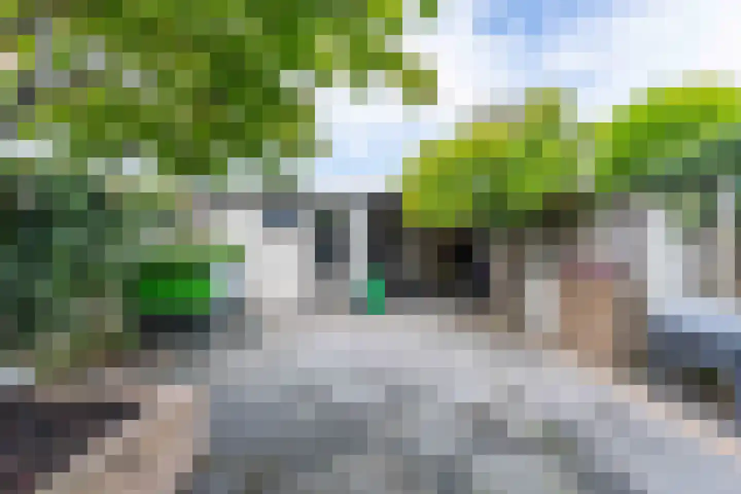 Willem Alexanderplantsoen 34 Rijnsburg thumbnail 35