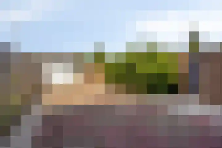 Willem Alexanderplantsoen 38 Rijnsburg thumbnail 25