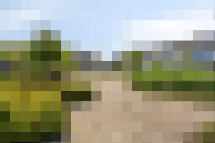 Willem Alexanderplantsoen 38 Rijnsburg thumbnail 27