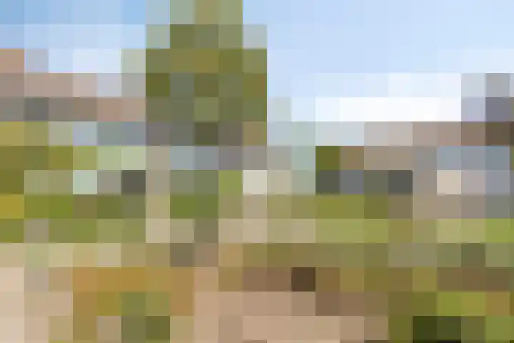 Willem Alexanderplantsoen 38 Rijnsburg thumbnail 30