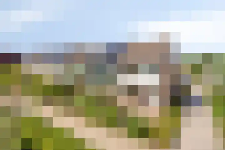 Willem Alexanderplantsoen 38 Rijnsburg thumbnail 36