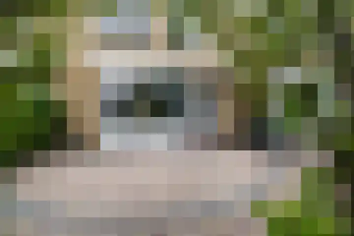 Willem-Alexanderplantsoen 53 Barendrecht thumbnail 4