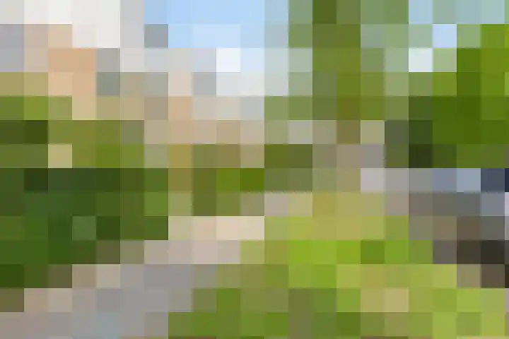 Willem-Alexanderplantsoen 57 Barendrecht thumbnail 31