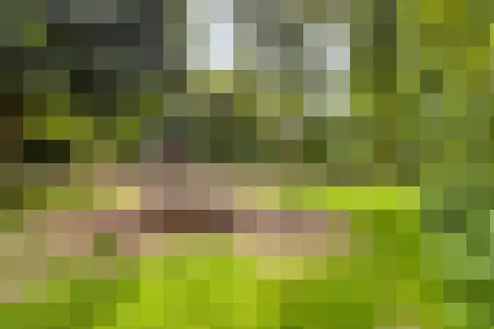 Willem-Alexanderplantsoen 57 Barendrecht thumbnail 34