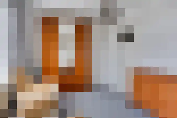 Willem-Alexanderplein 2 03 Nijkerk thumbnail 32