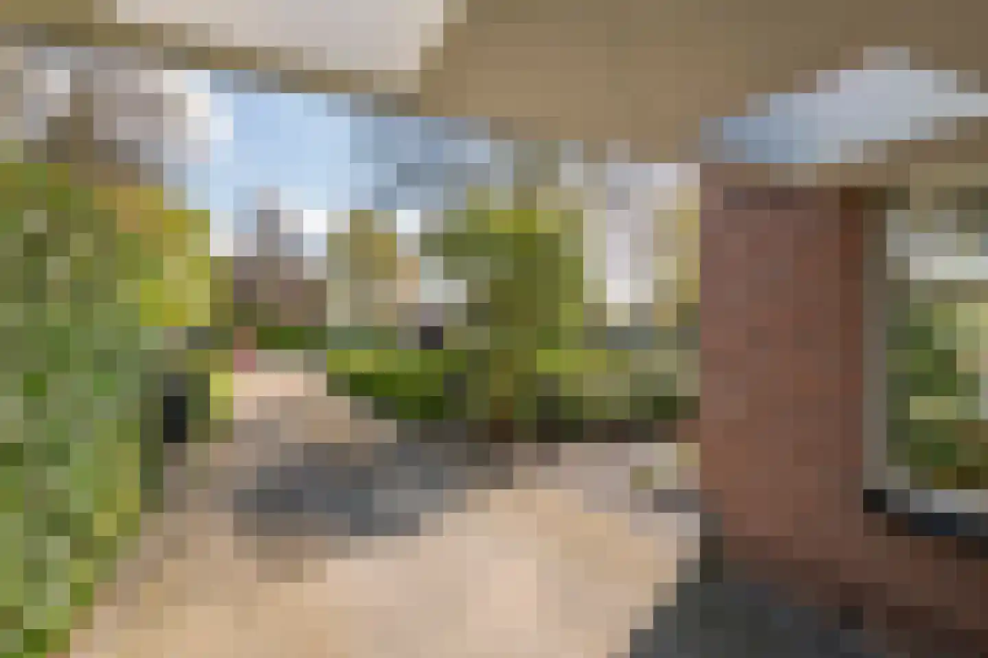 Willem-Alexanderplein 3 Beusichem thumbnail 10