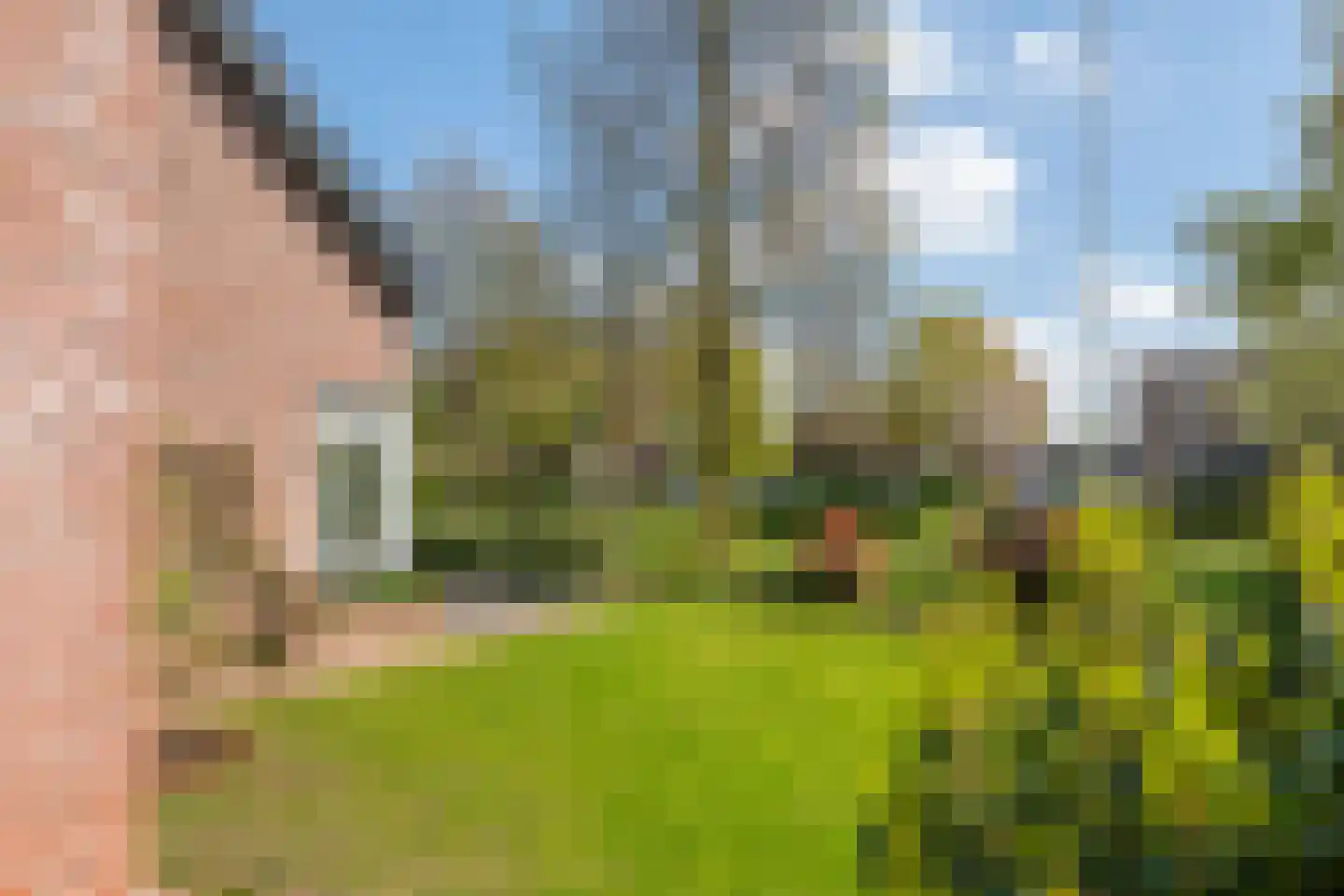 Willem-Alexanderplein 3 Beusichem thumbnail 11