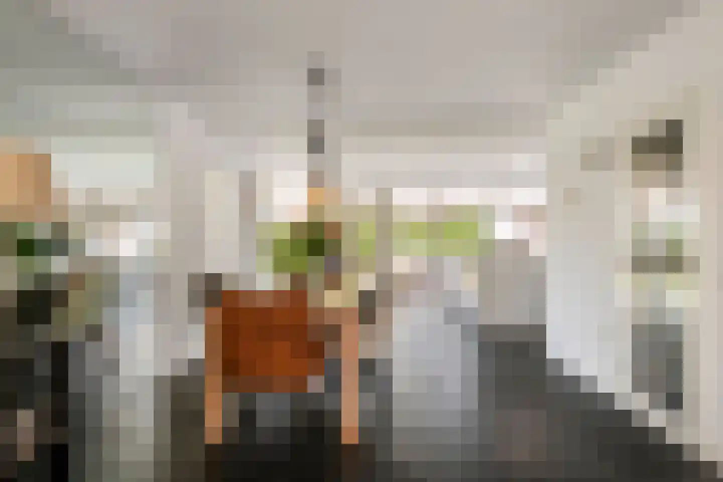 Willem-Alexanderplein 3 Beusichem thumbnail 29