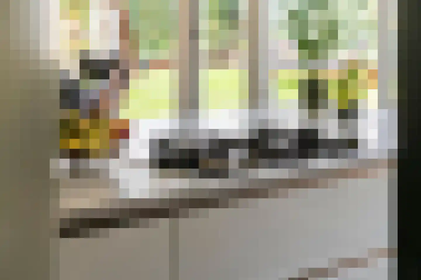 Willem-Alexanderplein 3 Beusichem thumbnail 32