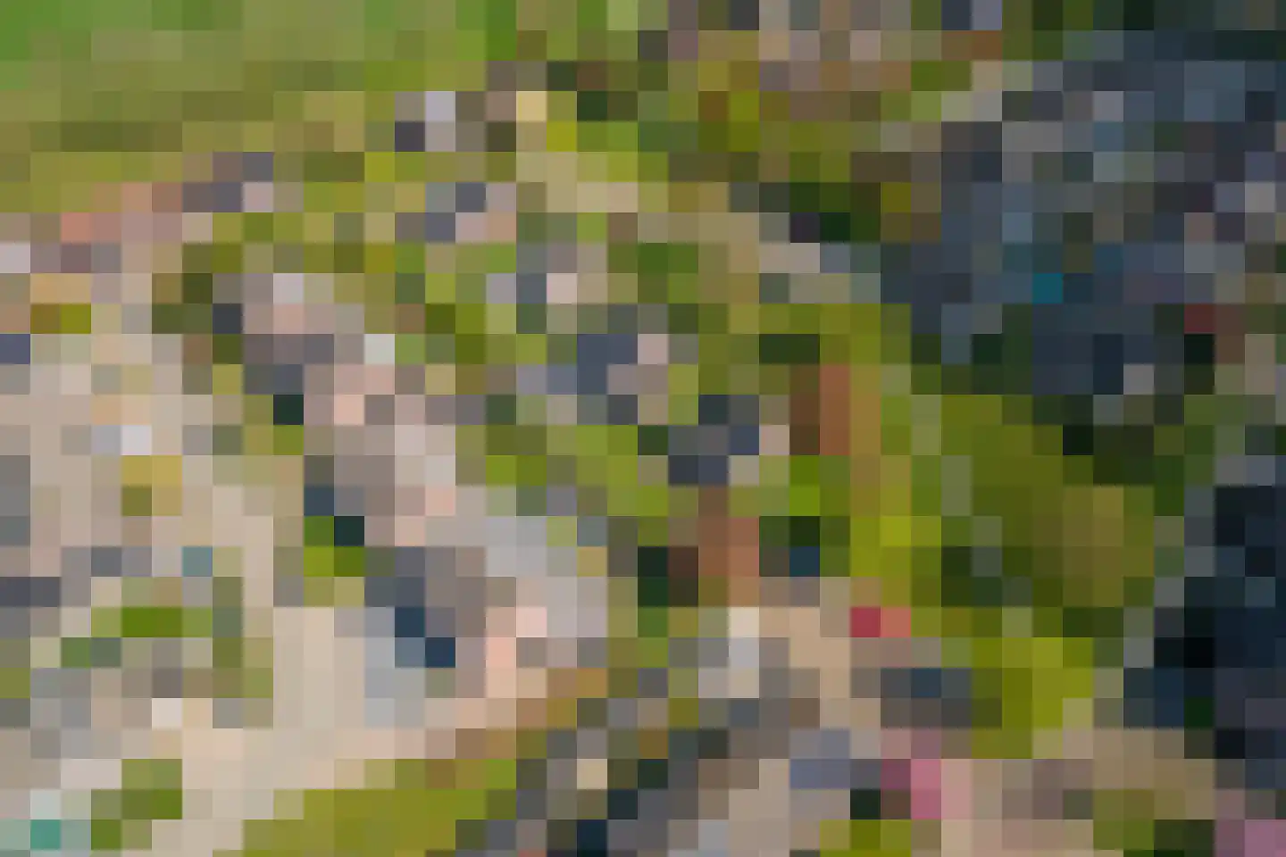 Willem-Alexanderplein 3 Beusichem thumbnail 60