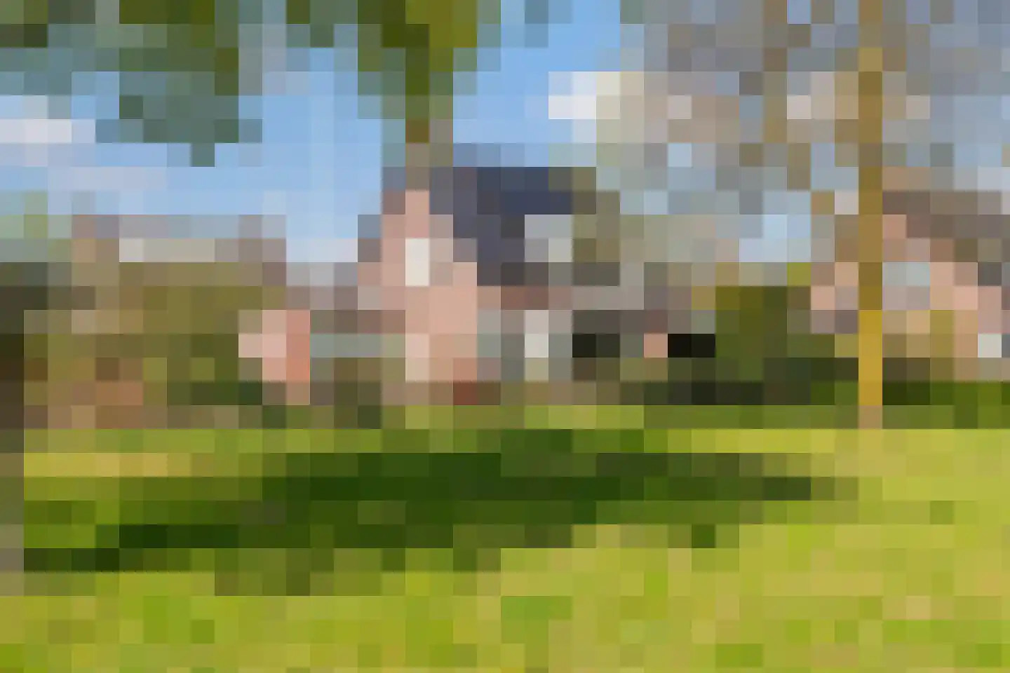 Willem-Alexanderplein 3 Beusichem thumbnail 8