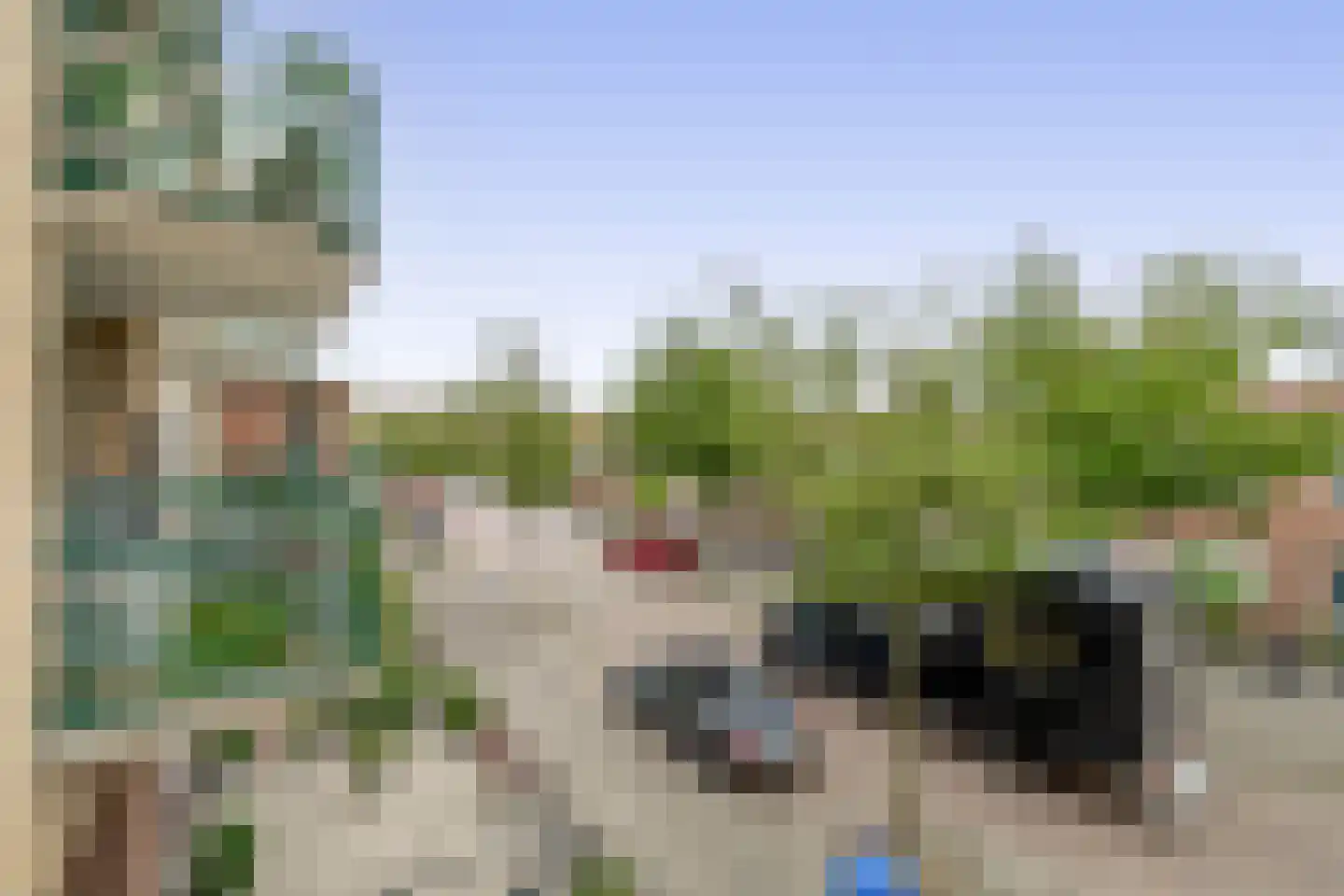 Willem-Alexanderplein 44 Lisse thumbnail 25