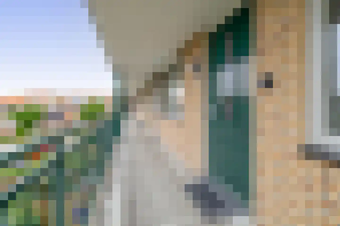 Willem-Alexanderplein 44 Lisse thumbnail 31