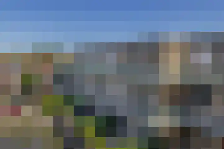 Willem-Alexanderplein 78 Lisse thumbnail 25