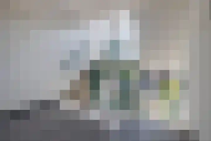 Willem-Alexanderplein 78 Lisse thumbnail 30