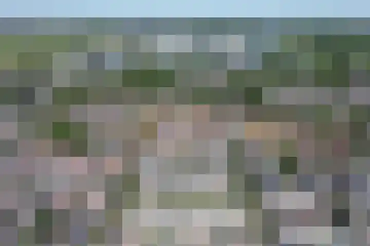 Willem-Alexanderplein 78 Lisse thumbnail 39