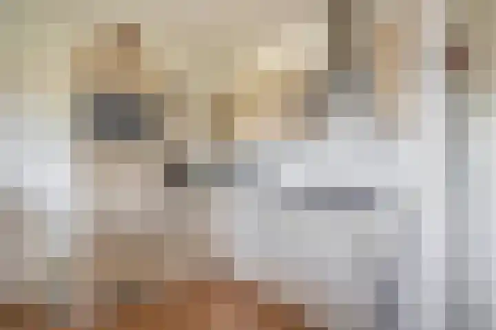 Willem-Alexanderplein 78 Lisse thumbnail 8
