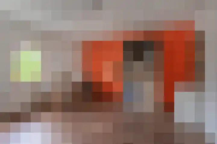 Willem Alexanderplein 8 Sint-Michielsgestel thumbnail 19