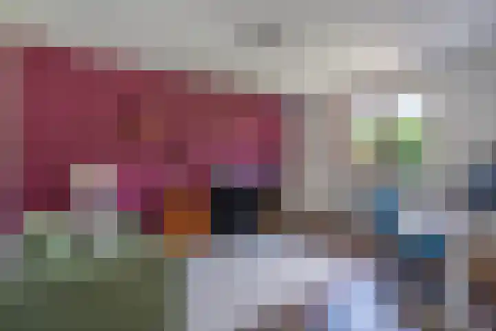 Willem Alexanderplein 8 Sint-Michielsgestel thumbnail 22