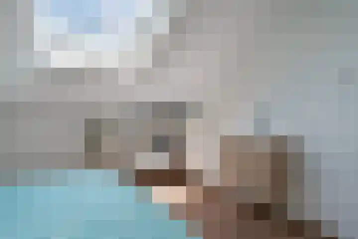 Willem Alexanderplein 8 Sint-Michielsgestel thumbnail 24