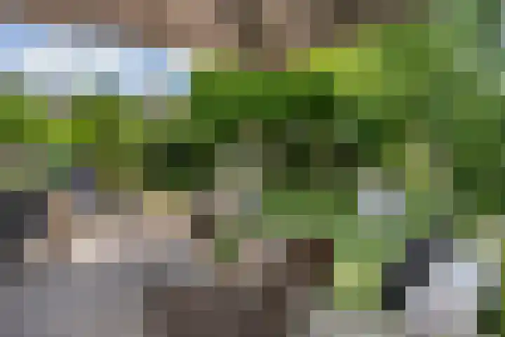 Willem Alexanderplein 8 Sint-Michielsgestel thumbnail 31