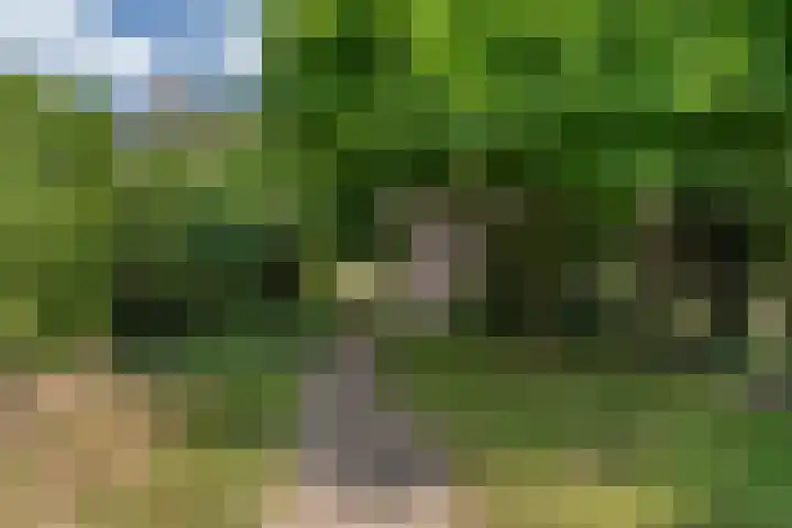 Willem Alexanderplein 8 Sint-Michielsgestel thumbnail 32
