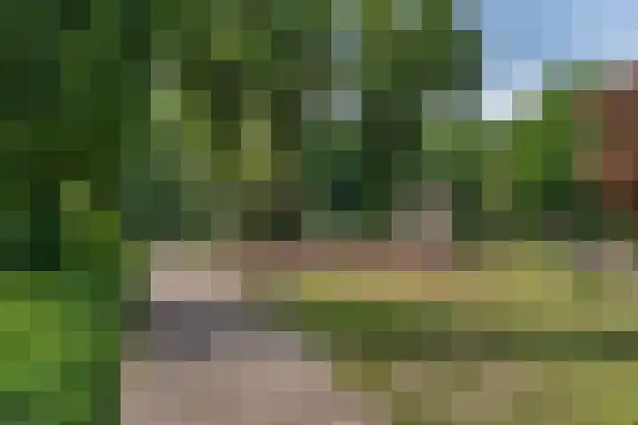Willem Alexanderplein 8 Sint-Michielsgestel thumbnail 33