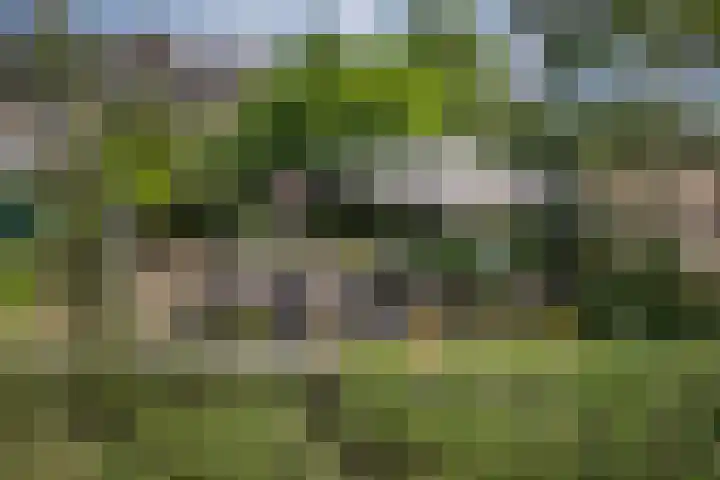 Willem Alexanderplein 8 Sint-Michielsgestel thumbnail 34