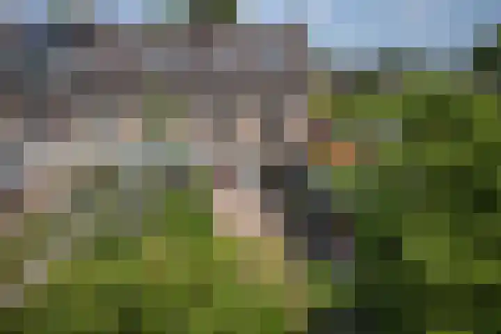 Willem Alexanderplein 8 Sint-Michielsgestel thumbnail 35
